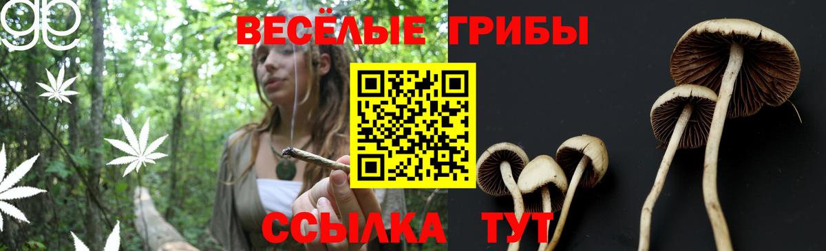 Ливны  Псилоцибиновые грибы MAGIC MUSHROOMS  Вход с VPN  Галлюциногенные грибы Magic Shrooms 